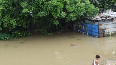 ঠাকুরগাঁওয়ে উজানের পানিতে নিন্মাঞ্চল প্লাবিত,পানিবন্দী ৫`শ পরিবার