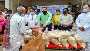 ঠাকুরগাঁওয়ে ১৮ ভিক্ষুকের মাঝে বকনা বাছুর প্রদান