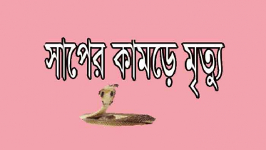 ঠাকুরগাঁওয়ে সাপের কামড়ে যুবকের মৃত্যু