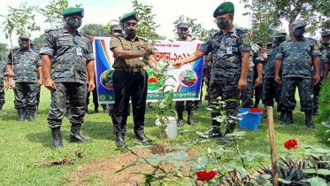 ঠাকুরগাঁওয়ে আনসার ও গ্রাম প্রতিরক্ষা বাহিনীর বৃক্ষরোপণ কর্মসূচি