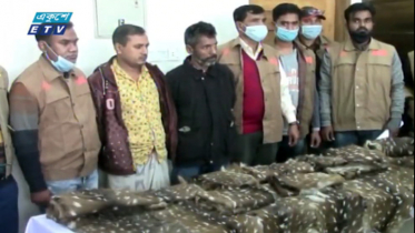 সুন্দরবনে আবারও মাথাচাড়া দিয়ে উঠেছে অবৈধ শিকারিরা