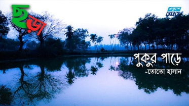 তোতো হাসান-এর ছড়া