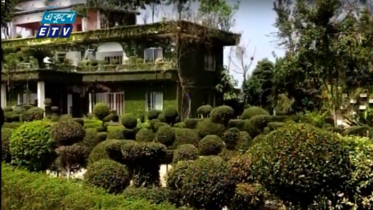 শৈলকুপায় দর্শনীয় গাছবাড়ি (ভিডিও)