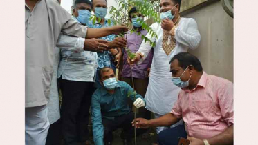 আশুলিয়ায় বৃক্ষরোপন কর্মসূচির  উদ্বোধন