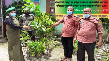 ক্ষেতলালে বৃক্ষরোপণ কর্মসূচি পালন 