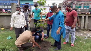 ঠাকুরগাঁওয়ে বৃক্ষরোপন কর্মসূচির উদ্বোধন 