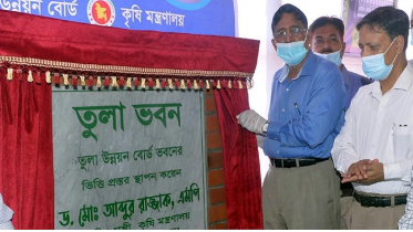 উন্নত জাত উদ্ভাবনে তুলা উৎপাদন দিন দিন বাড়ছে: কৃষিমন্ত্রী
