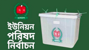 নলছিটিতে ১০ ইউনিয়নে নৌকার প্রার্থীরা নির্বাচিত