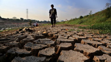 নজিরবিহীন খরায় বিপর্যস্ত ইউরোপ