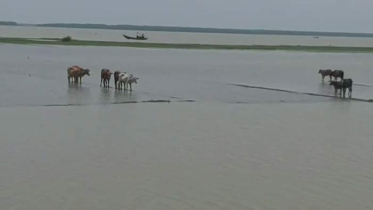 ভোলায় নিন্মাঞ্চল প্লাবিত, পানিবন্দি ৩০ হাজার মানুষ 