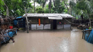 বাগেরহাটে ভেসে গেছে ১৭ হাজার মৎস্য ঘের