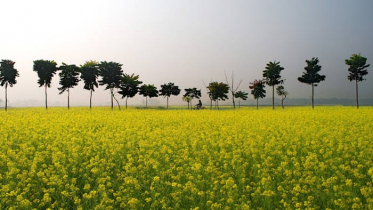 তাপপ্রবাহ অব্যাহত থাকতে পারে