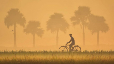 বাংলার প্রকৃতি, বাংলার শীত