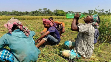 তীব্র তাপদাহে বিশ্বে ঝুঁকির মুখে ২৪০ কোটি শ্রমিক