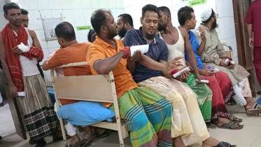কোরবানি করতে গিয়ে আহত দেড় শতাধিক
