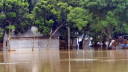 দিনাজপুরে পুনর্ভবা নদীর পানি বিপৎসীমার উপরে