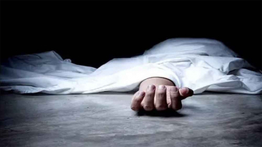 গাছের জন্য গাইতে গাইতে গাছ চাপায় মৃত্যু