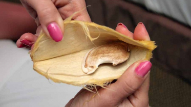 চার দিন ধরে গলায় আটকে আমের আঁটি, তারপর...