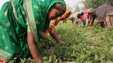 নারী-পুরুষ ব্যবধানের সূচকে পিছিয়েছে বাংলাদেশ