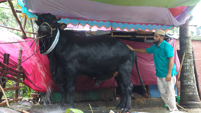 ‘নবাবগঞ্জের নবাব’ ‘নবাবগঞ্জের নবাব’