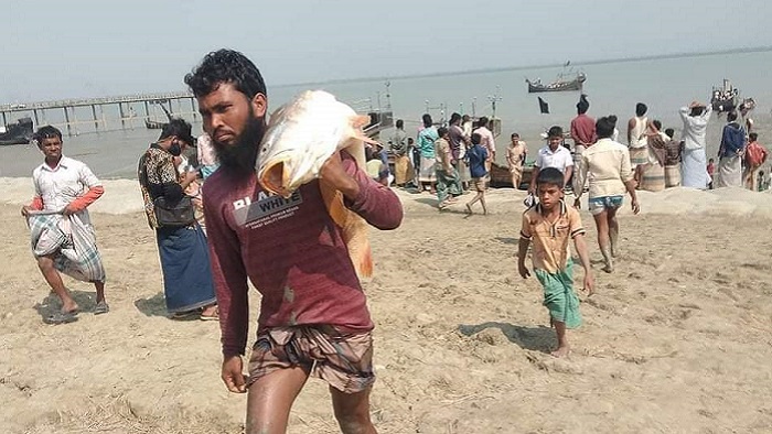 কাঁধে করে নিয়ে যাচ্ছেন বিশাল এক লাল পোয়া মাছ