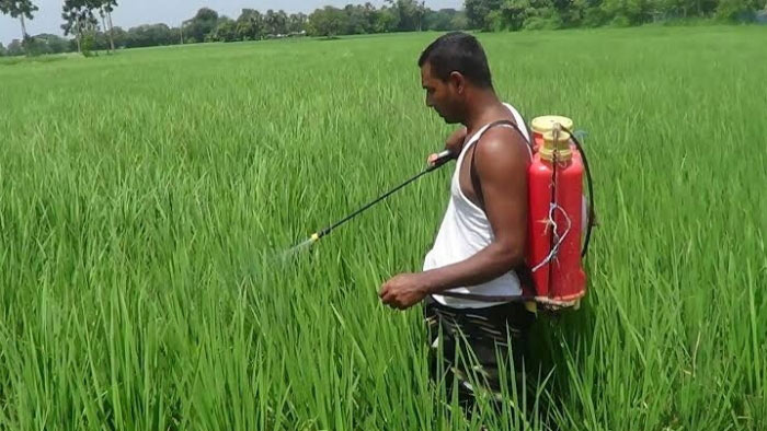 ছবি-প্রতীকী