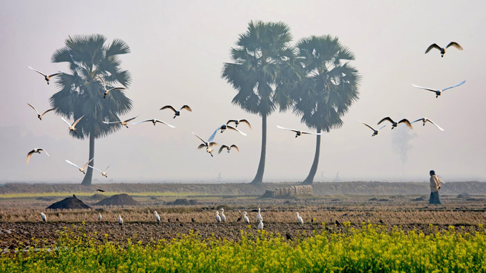 ফেসবুক থেকে সংগ্রহ