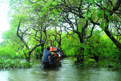 বৃষ্টিভেজা রাতারগুল