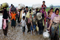 রোহিঙ্গা নির্যাতনের বিচার দাবি টিলারসনের